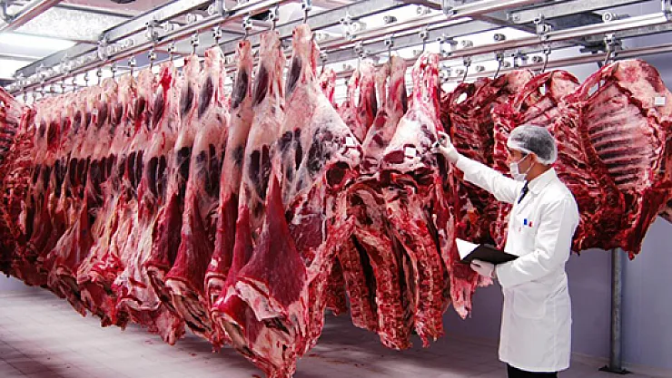 Kırmızı Et Fiyatlarının Düşürülmesi İçin Gıda Bakanlığından Dev Adım!