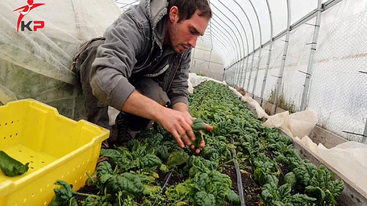 Kırsal Bölgelerdeki Gençlere AB Fonu İle İstihdam İmkanı Sağlanacak