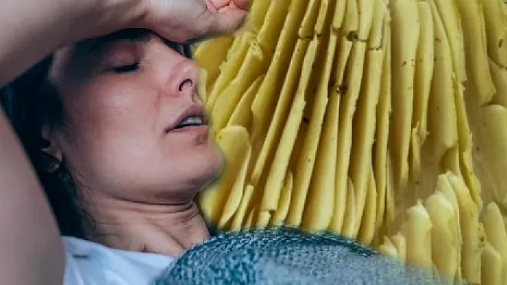 Kışın hasta olmak istemiyorsanız sakın sofranızdan eksik etmeyin! Tüketen zımba gibi oluyor