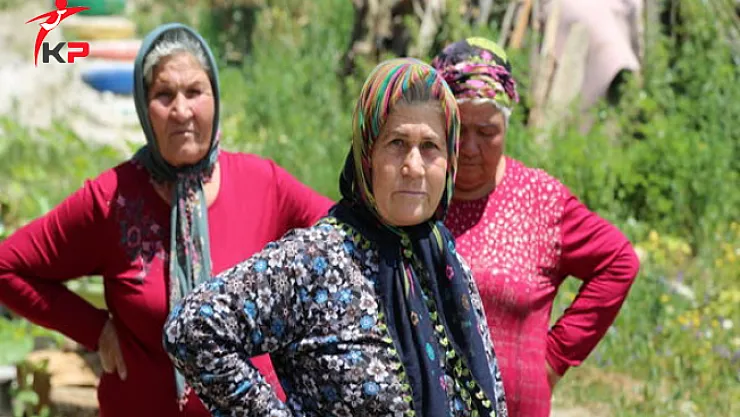 Kitaptan Atatürkçülük Bölümleri Çıkartıldı, Ümmiye Koçak Geniş Bir Yer Aldı