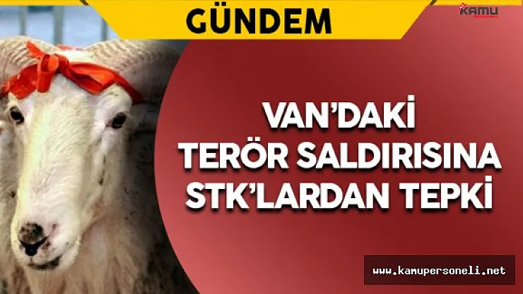 Konya'da Göle Atlayan Kurbanlıklar Yakalandı