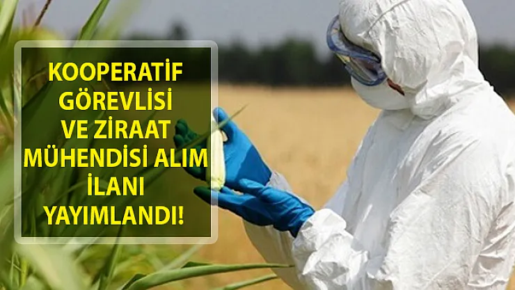 Kooperatif Görevlisi Ve Ziraat Mühendisi Alım İlanı Yayımlandı! Tarım Kredi Kooperatifleri Personel Alımı Yapıyor