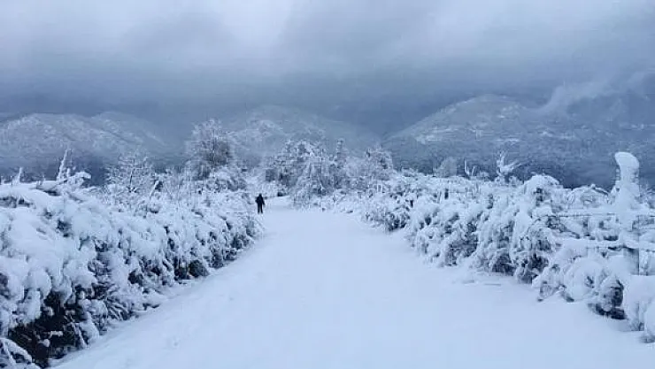 Korkunç, karlar eriyince 9 ceset ortaya çıktı! Van Başkale'de 9 yabancı uyruklu kişi donarak öldü