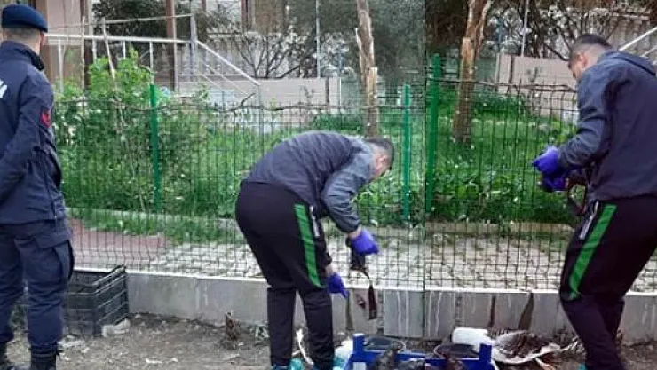 Korkunç Olay: Gözlerini Oyarak ve Asitle Öldürdüler