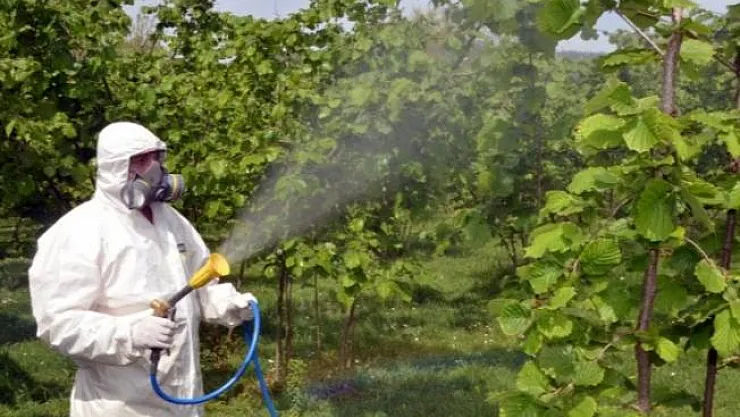 Koronavirüs bitmeden başka bir tehlike daha: 8 ilimizde görüldü!