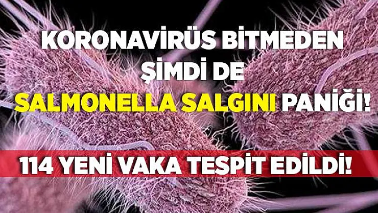 Koronavirüs can almaya devam ederken, bir salgın daha! Kırmızı soğandan bulaşıyor! 114 yeni vaka tespit edildi!