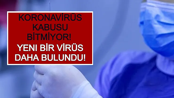 Koronavirüs Kabusu Bitmiyor! Yeni Bir Virüs Daha Bulundu!