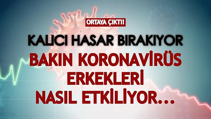 Koronavirüsle ilgili flaş gerçek ortaya çıktı! Bakın virüs erkekleri nasıl etkiliyor...