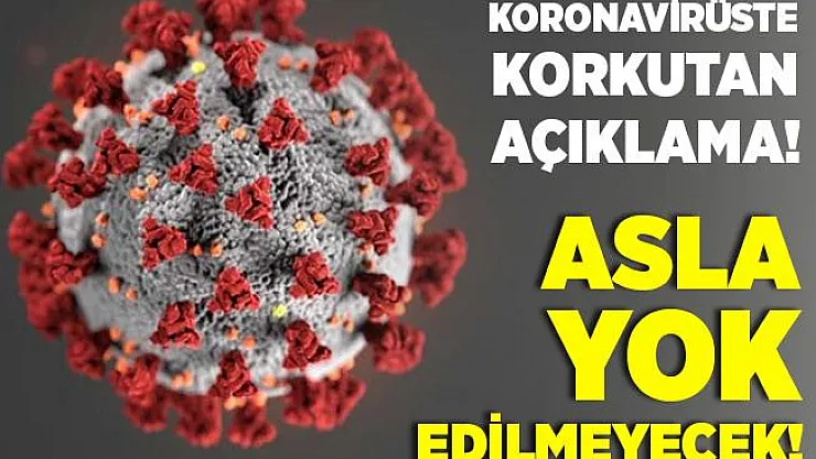 Koronavirüsle ilgili korkutan gelişme! Virüs asla yok edilmeyecek!