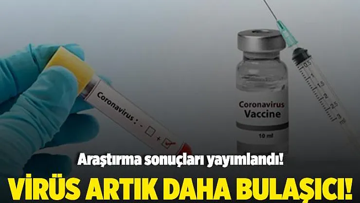 Koronavirüsle ilgili yeni araştırma sonuçları yayımlandı! Virüs artık daha bulaşıcı!