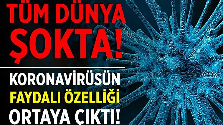 Koronavirüste herkesi şoke eden gelişme! Faydalı özelliği ortaya çıktı!
