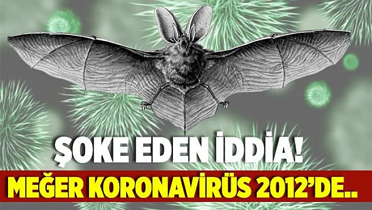 Koronavirüste şoke eden iddia! Virüs aslında 2012 yılında ortaya çıktı!
