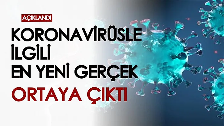 Koronavirüste yeni gerçek ortaya çıktı: Erkeklerle kadınlar arasındaki fark...