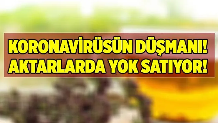 Koronavirüsün düşmanı kekik! Kekik suyu nasıl yapılır? Ne kadar içilmeli, faydaları neler?
