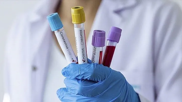 Koronavirüsün Sonu Geliyor! 260 Gün Sonra Bu Seviyede!