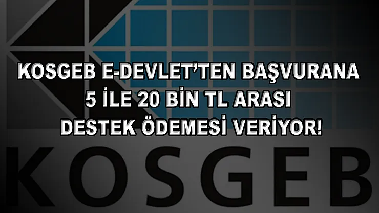 KOSGEB E-Devlet'ten başvurana 5 ile 20 bin TL arası destek ödemesi veriyor!