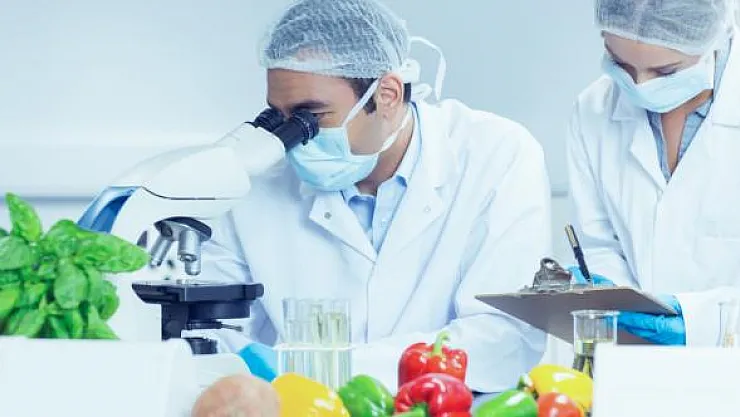 KPSS Şartsız en az ön lisans mezunu İBB Gıda Teknikeri personel alımı yapacak! Başvuru şartları neler?