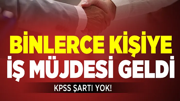 KPSS'siz en az ilköğretim mezunu binlerce personel alınacak! 2 Temmuz İŞKUR iş ilanlarına başvurular başladı!