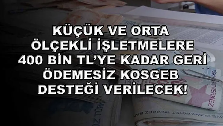 Küçük ve orta ölçekli işletmelere 400 bin TL'ye kadar geri ödemesiz KOSGEB desteği verilecek!