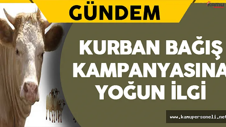 Kurban Bağış Kampanyasına Yoğun İlgi !