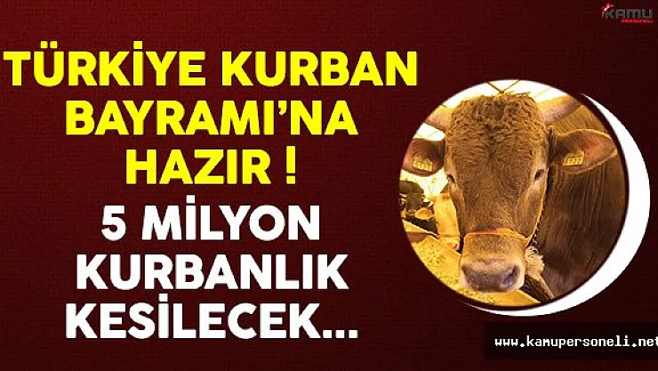 Kurban Bayramı İçin 5 Milyon Kurbanlık Hazır !