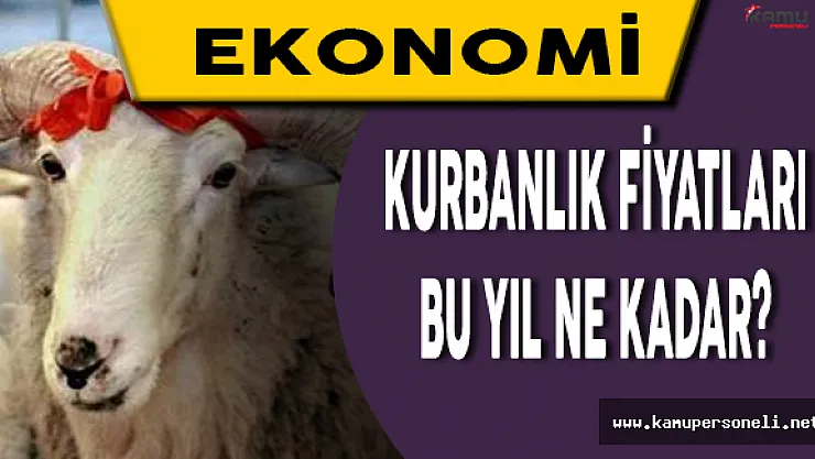 Kurbanlık Fiyatları İkinci El Araba Parası Gibi