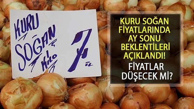 Kuru Soğan Fiyatları Hakkında Ay Sonu Beklentileri Açıklandı! Kuru soğan fiyatı düşecek mi?