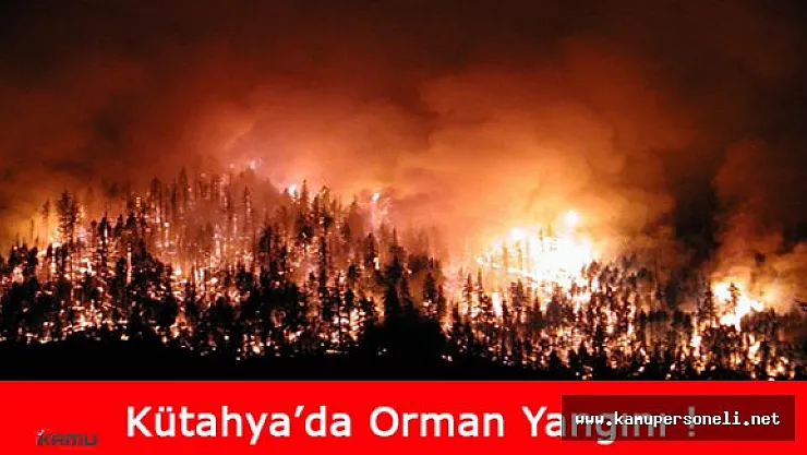 Kütahya'da Çıkan Orman Yangınında 100 Hektarın Üzerinde Çamlık Zarar Gördü