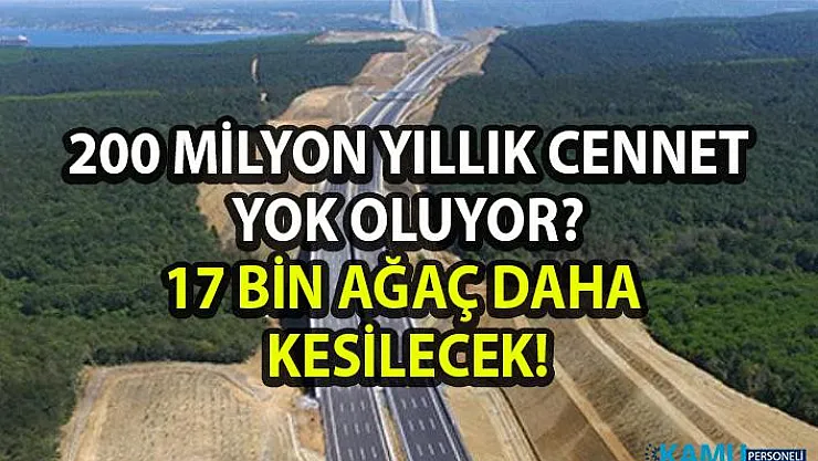 Kuzey Marmara Otolu Bağlantı Yolları Projesi onaylandı! Ballıkaya tabiat parkı yok edilecek!