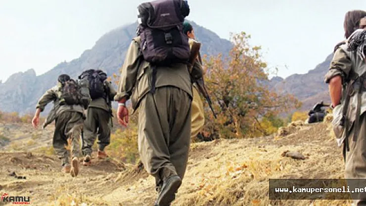 Lice'de Yakalanan Teröristlerin İtirafları Yayımlandı