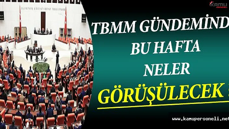 Meclis Gündeminde Bu Hafta Neler Görüşülecek ?