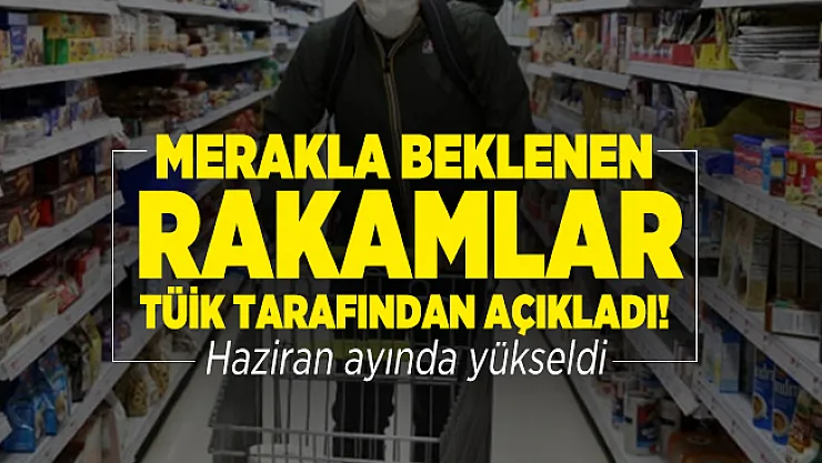 Merakla beklenen rakamlar TÜİK tarafından açıkladı! Haziran ayında yükseldi