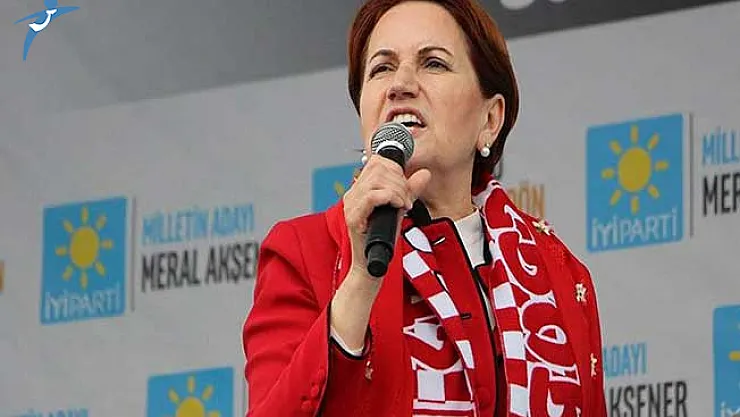 Meral Akşener Atanamayan Gıda ve Ziraat Mühendislerine Tam Destek Verdi