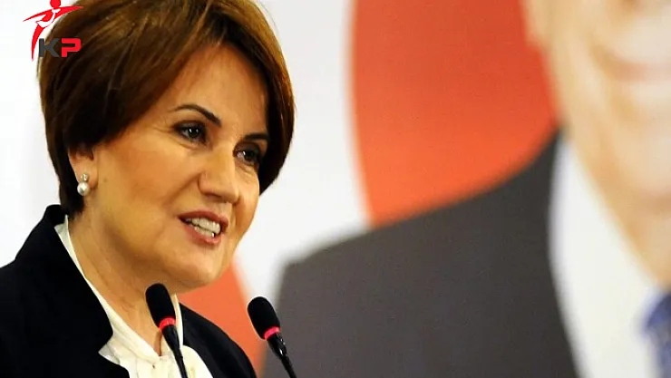 Meral Akşener'in Kuracağı Parti'nin Tüzüğünde Dikkat Çeken Madde !