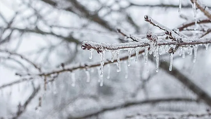 Meteoroloji'den o bölgelerimize çığ ve don uyarısı geldi! 22 Şubat Pazartesi hava durumu tahminleri