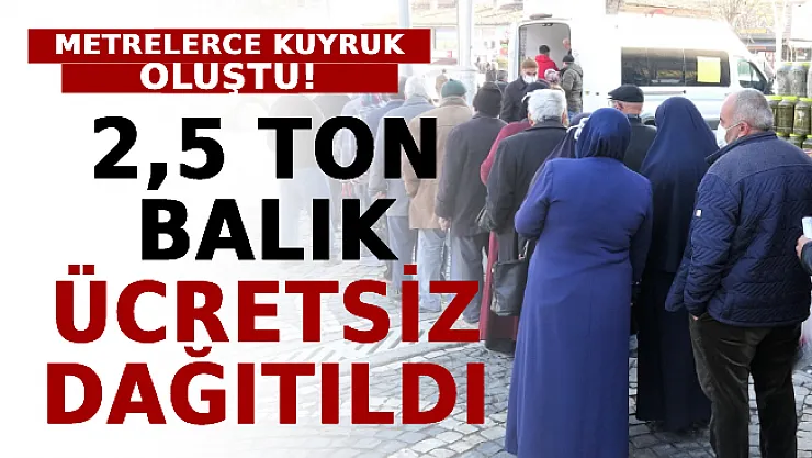 2,5 Ton Mezgit Balığı Ücretsiz Dağıtıldı! Metrelerce Kuyruk Oluştu