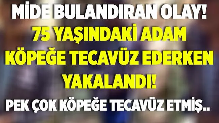 Mide bulandıran olay! 75 yaşındaki yaşlı adam köpeğe tecavüz ederken yakalandı! Eşinden şoke eden açıklama!