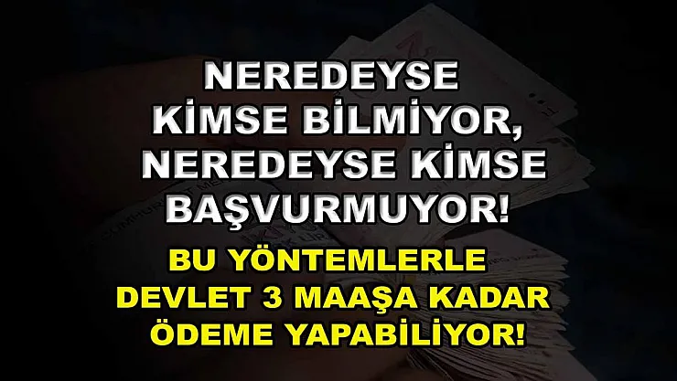 Neredeyse kimse bilmiyor, neredeyse kimse başvurmuyor! Bu yöntemlerle devlet 3 maaşa kadar ödeme yapabiliyor!