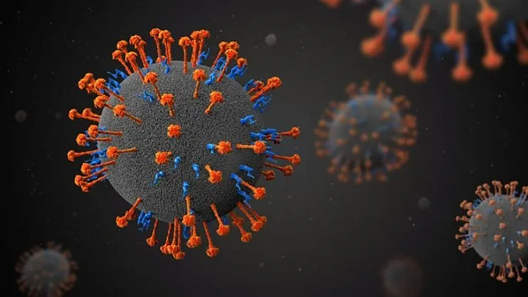 Nipah virüsüne karşı kritik uyarı! Ölüm oranı yüzde 75! Nipah virüsü nedir?