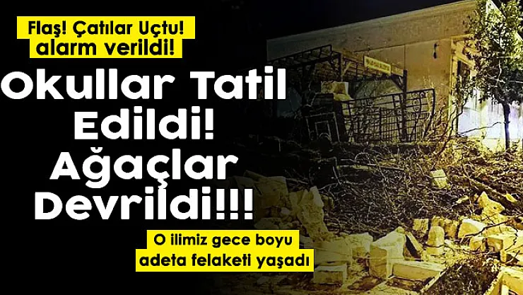 O ilimiz felaketi yaşadı! Okullar tatil edildi, ağaçlar devrildi ve çatılar uçtu