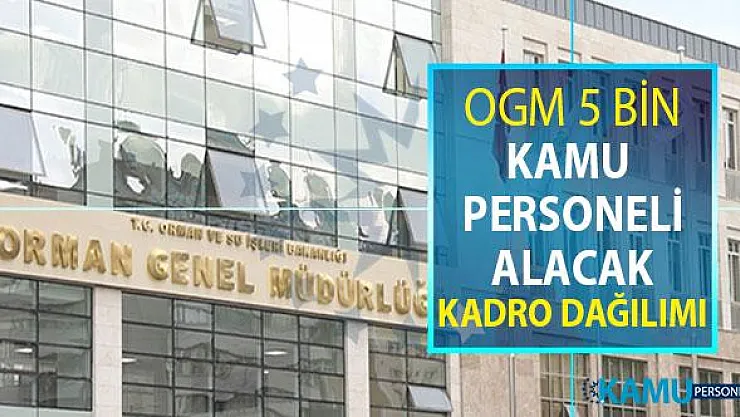 OGM 5 Bin Kamu Personeli Alımı Yapacak ! Kadro Dağılımı Belli Oldu
