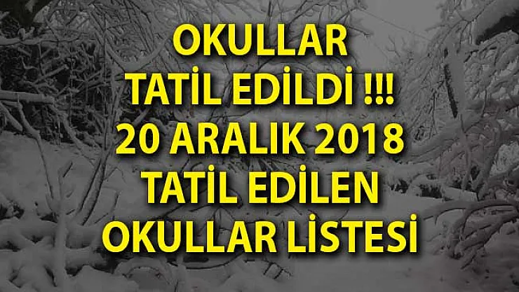 Okullar Tatil Edildi!- Yarın Hangi Okullar Tatil Edildi? 20 Aralık Okul Tatili