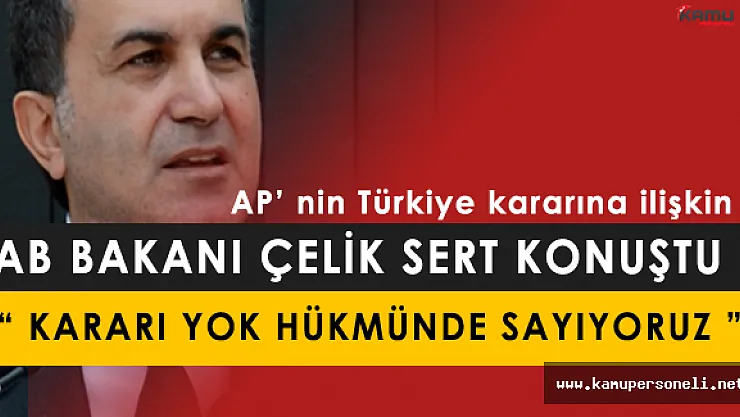 Ömer Çelik, AP Kararına İlişkin: " Kararı Yok Hükmünde Sayıyoruz "