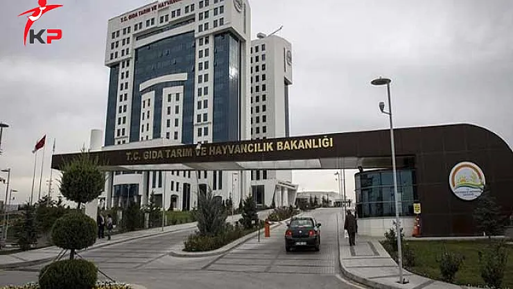 Ön Lisans Adayları GTHB'den İlan Bekliyor !