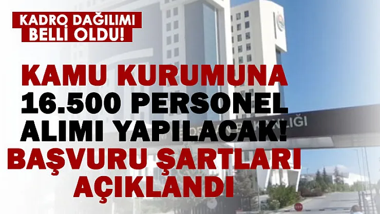Orman Genel Müdürlüğü 16.500 kamu personeli alacak! 81 il 16.500 personel alım şartları