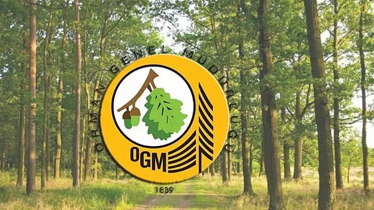 Orman Genel Müdürlüğü duyurdu! OGM'de kadrolu işçi olarak çalışmak isteyen bu ilana dikkat