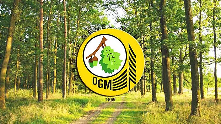 Orman Genel Müdürlüğü en az lise mezunu çok sayıda memur alımı yapıyor! İşte başvuru şekli ve aranan şartlar