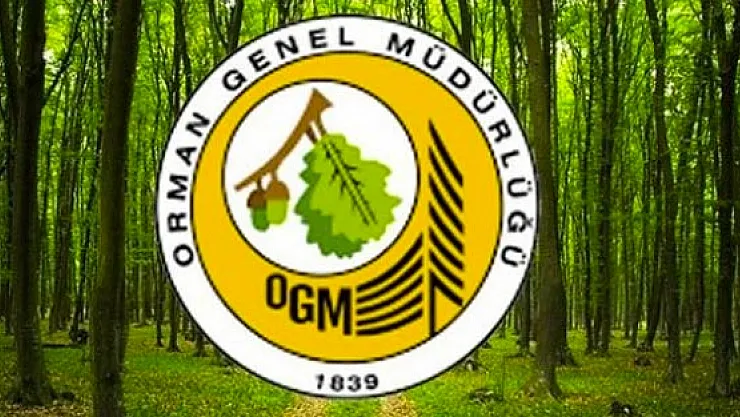 Orman Genel Müdürlüğü işçi alımı İŞKUR üzerinden başladı! OGM 2083 işçi alımı 2021 başvuru ekranı!