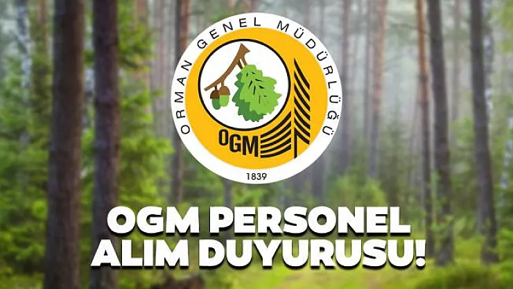 Orman Genel Müdürlüğü (OGM) 700 işçi alımı İŞKUR başvuruları bugün başladı! Başvuru şartları nelerdir?