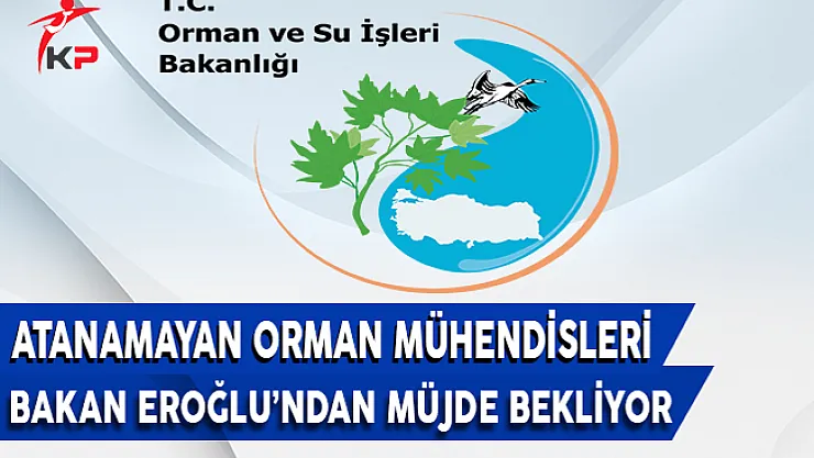 Orman Mühendisleri Bakan Eroğlu'ndan Atama Müjdesi Bekliyor !